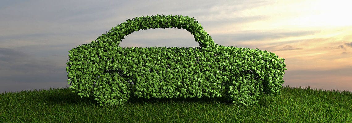 Car covered in green leaves on road